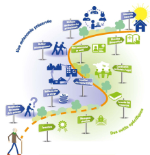 L Organisation Des Parcours De Soins De Sante De Vie L Organisation Des Parcours De Soins De Sante De Vie