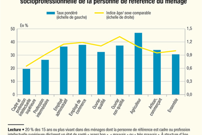 Infographie sur l"état de santé des français